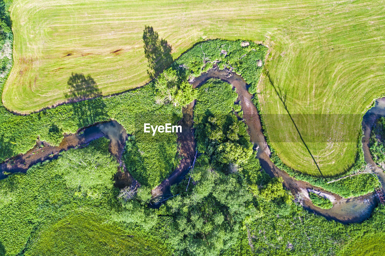 High angle view of river amidst green landscape