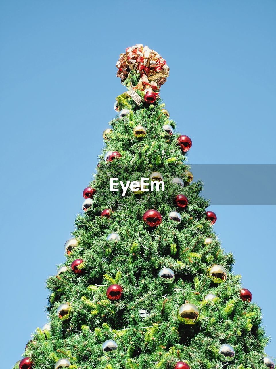 Árbol de navidad