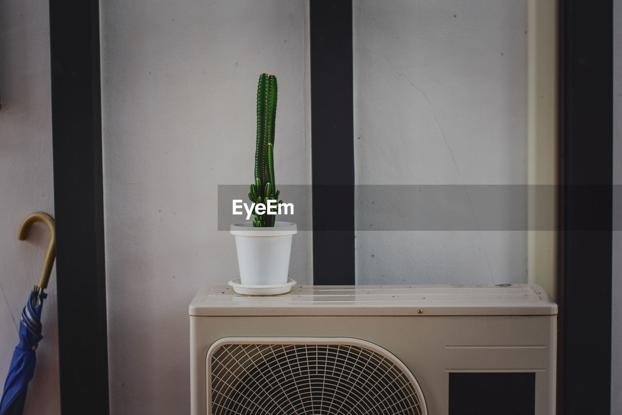 POTTED PLANTS ON WINDOW SILL