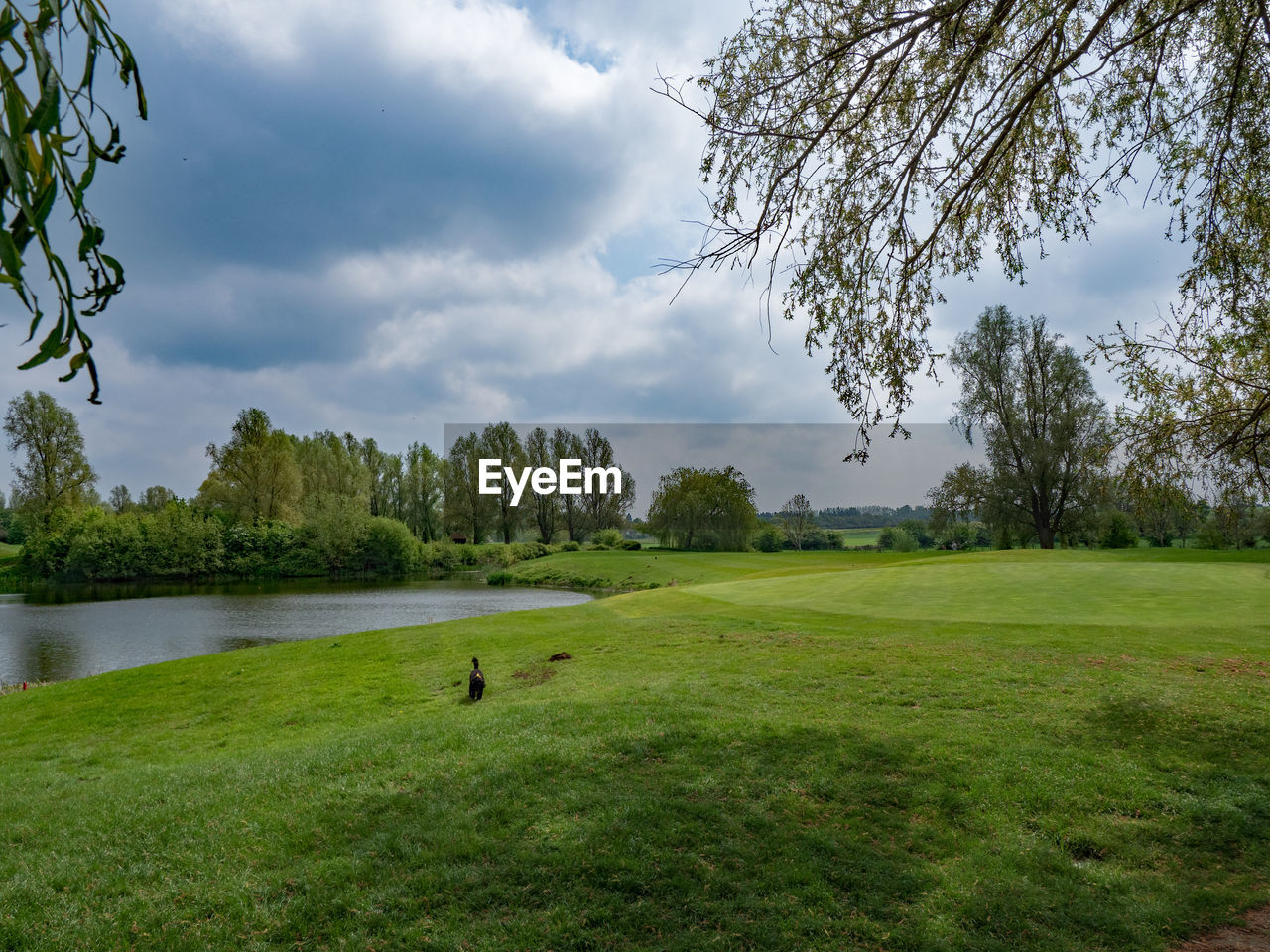 Empty golf course 