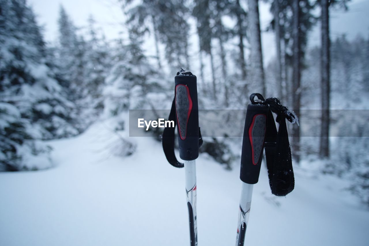 Close-up of ski poles snow covered land