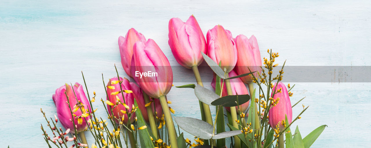 CLOSE-UP OF PINK TULIP FLOWERS AGAINST WATER