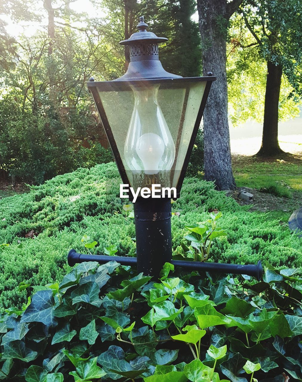 LANTERN IN GARDEN