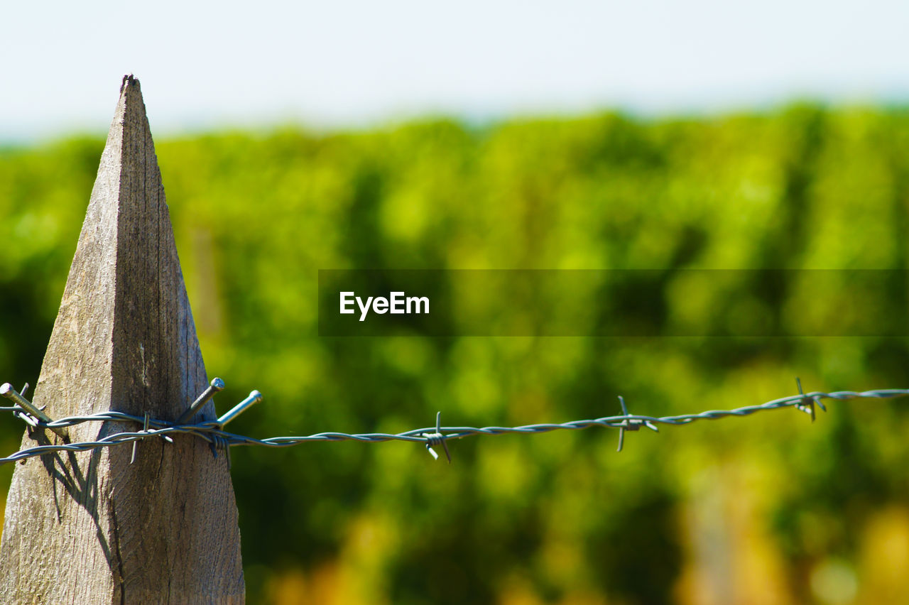 Close-up of barbed wire fence on field