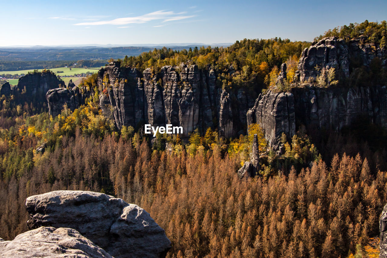 PANORAMIC VIEW OF ROCKS AND TREES ON MOUNTAIN AGAINST SKY