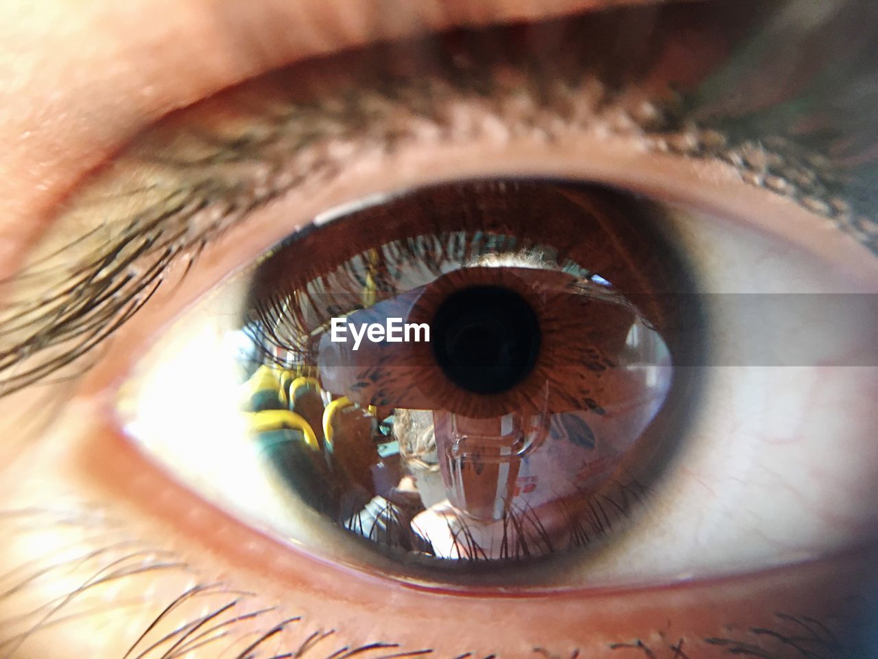 Extreme close-up of human eye