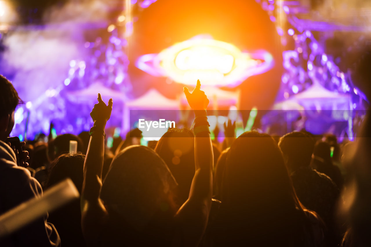 Rear view of people enjoying at music concert