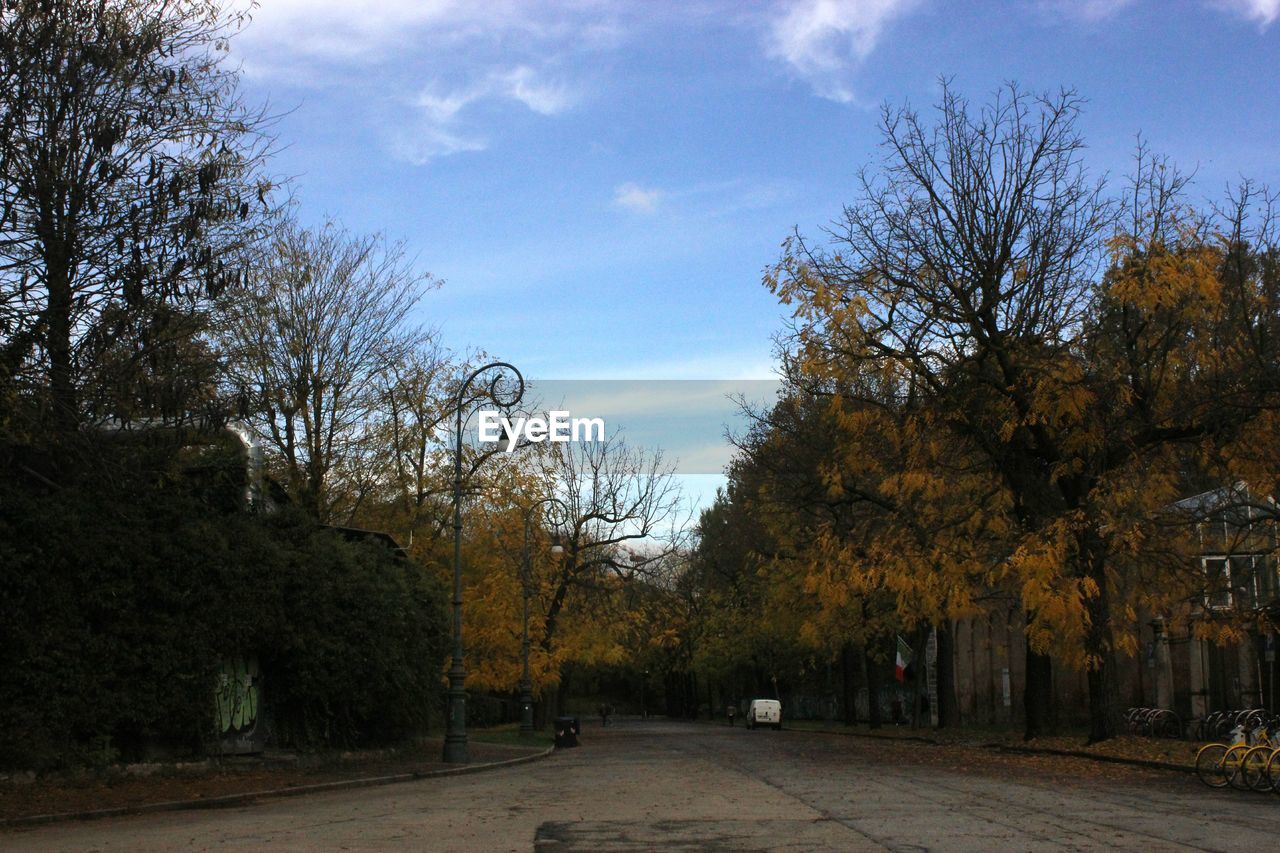 STREET AMIDST TREES AGAINST SKY
