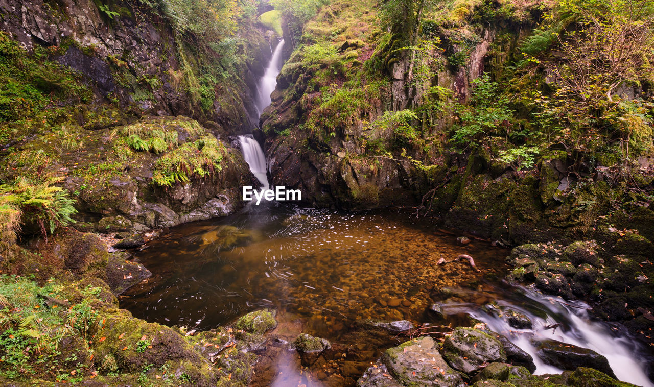 Scenic view of waterfall in forest