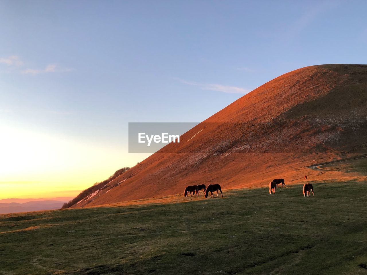 Scenic view of landscape against sky during sunset