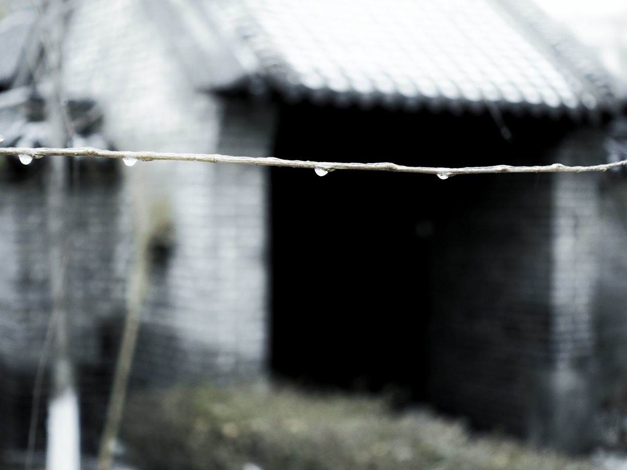 CLOSE-UP OF SPIDER WEB ON METAL FENCE