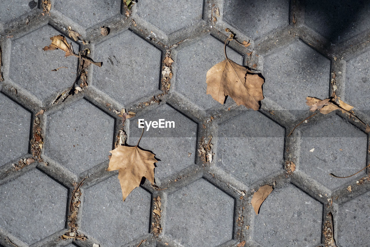 HIGH ANGLE VIEW OF PATTERN ON FOOTPATH