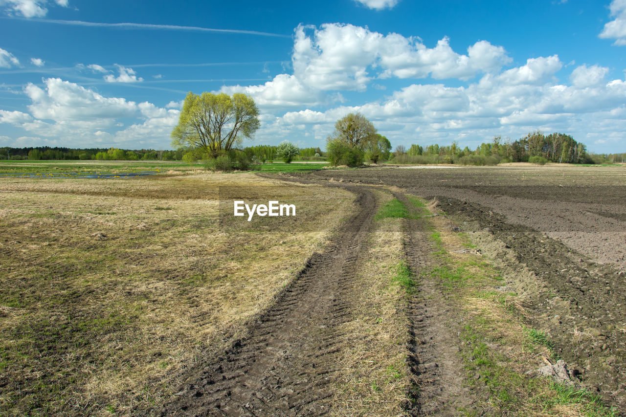Tractor wheel tracks in field, trees and white clouds on blue sky - sunny spring day