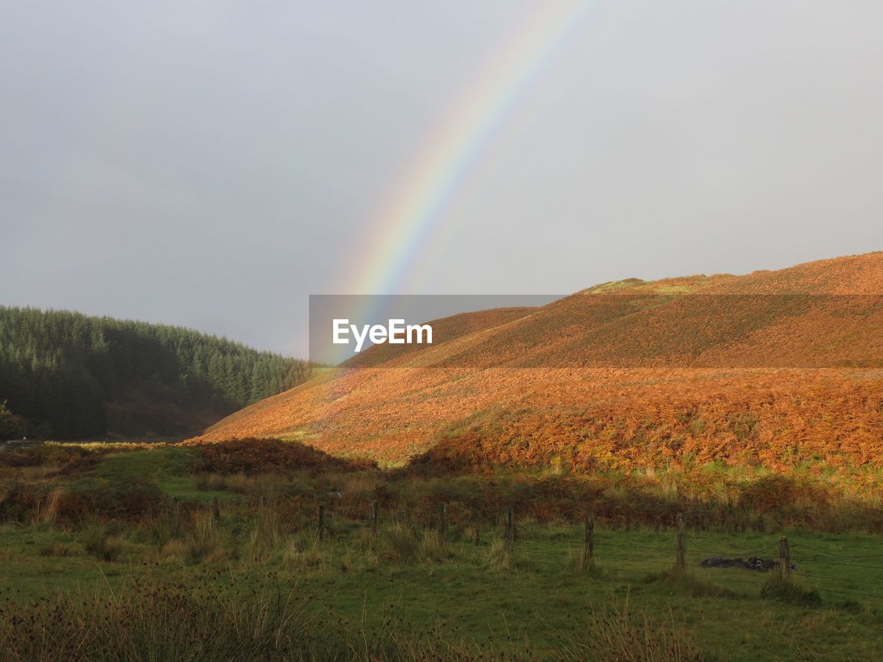 Mountain with grassy landscape by trees and rainbow in sky