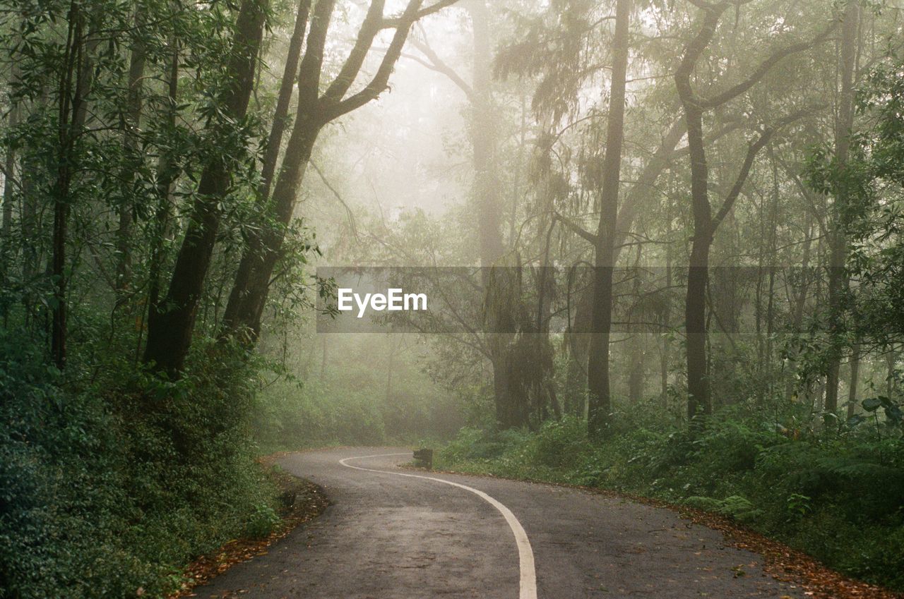 I see happiness at the end of the road, and many lies behind this mist