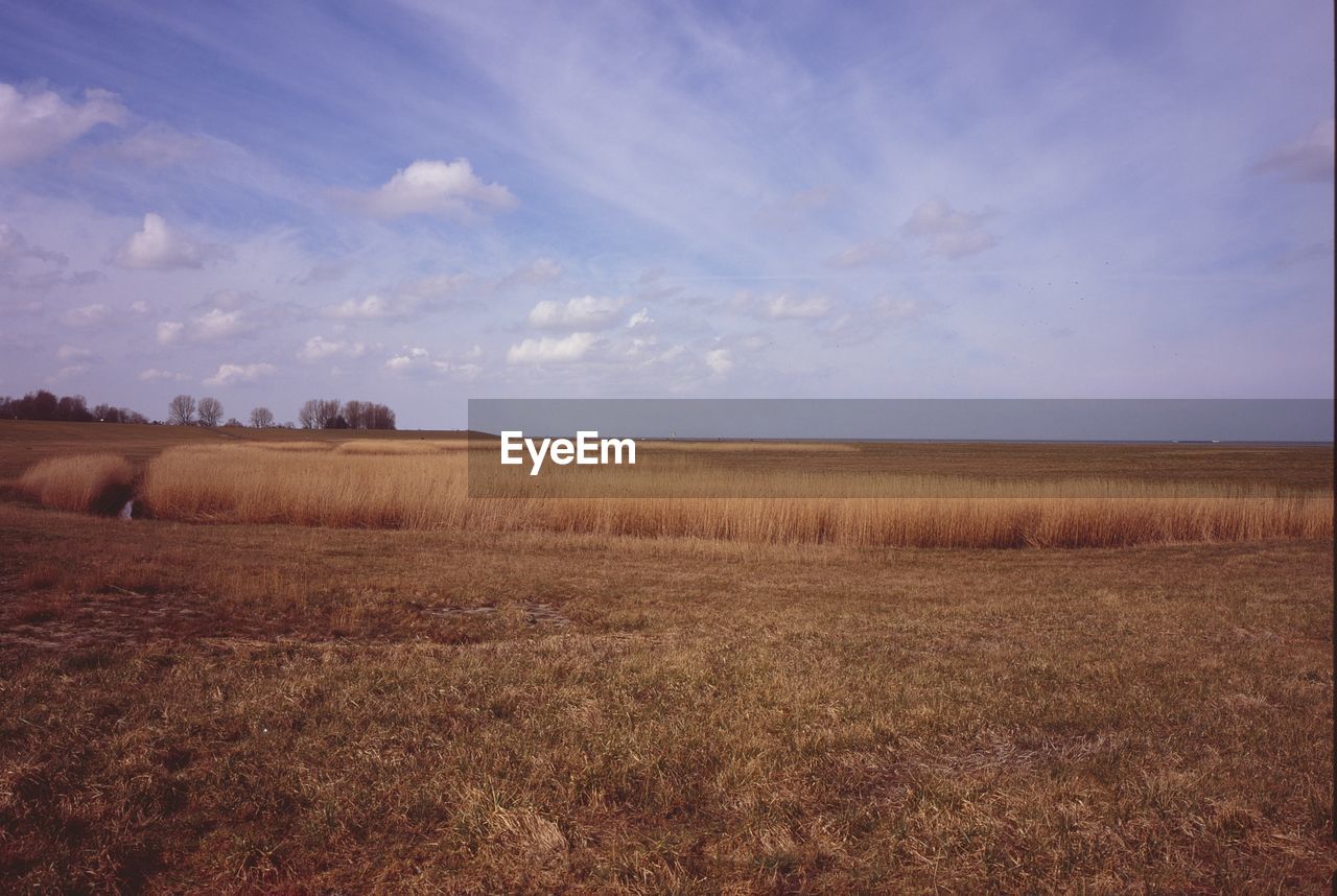 FIELD AGAINST SKY