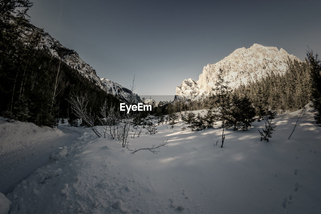 Snow covered land and trees against sky