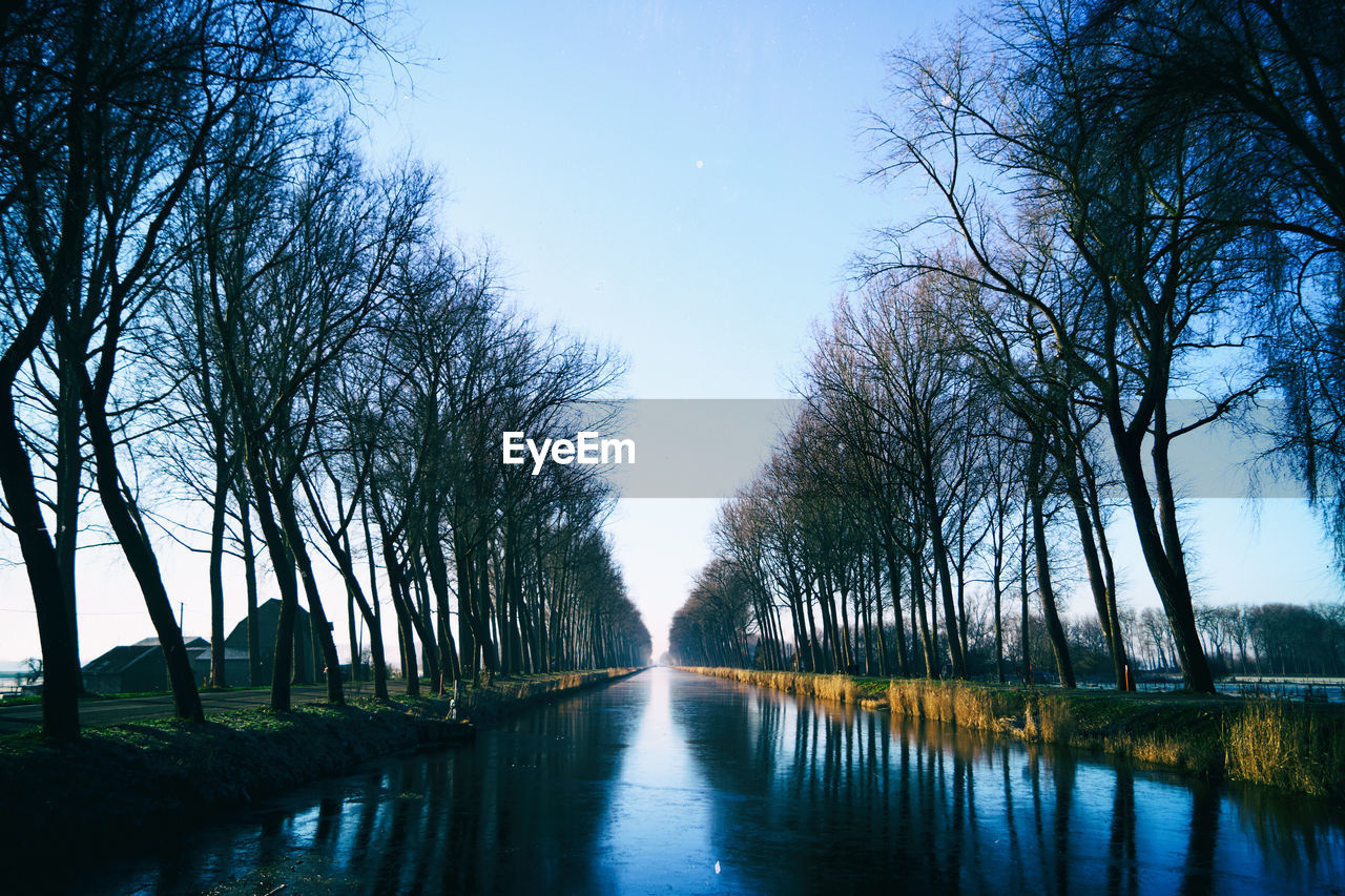 Scenic view of trees along river