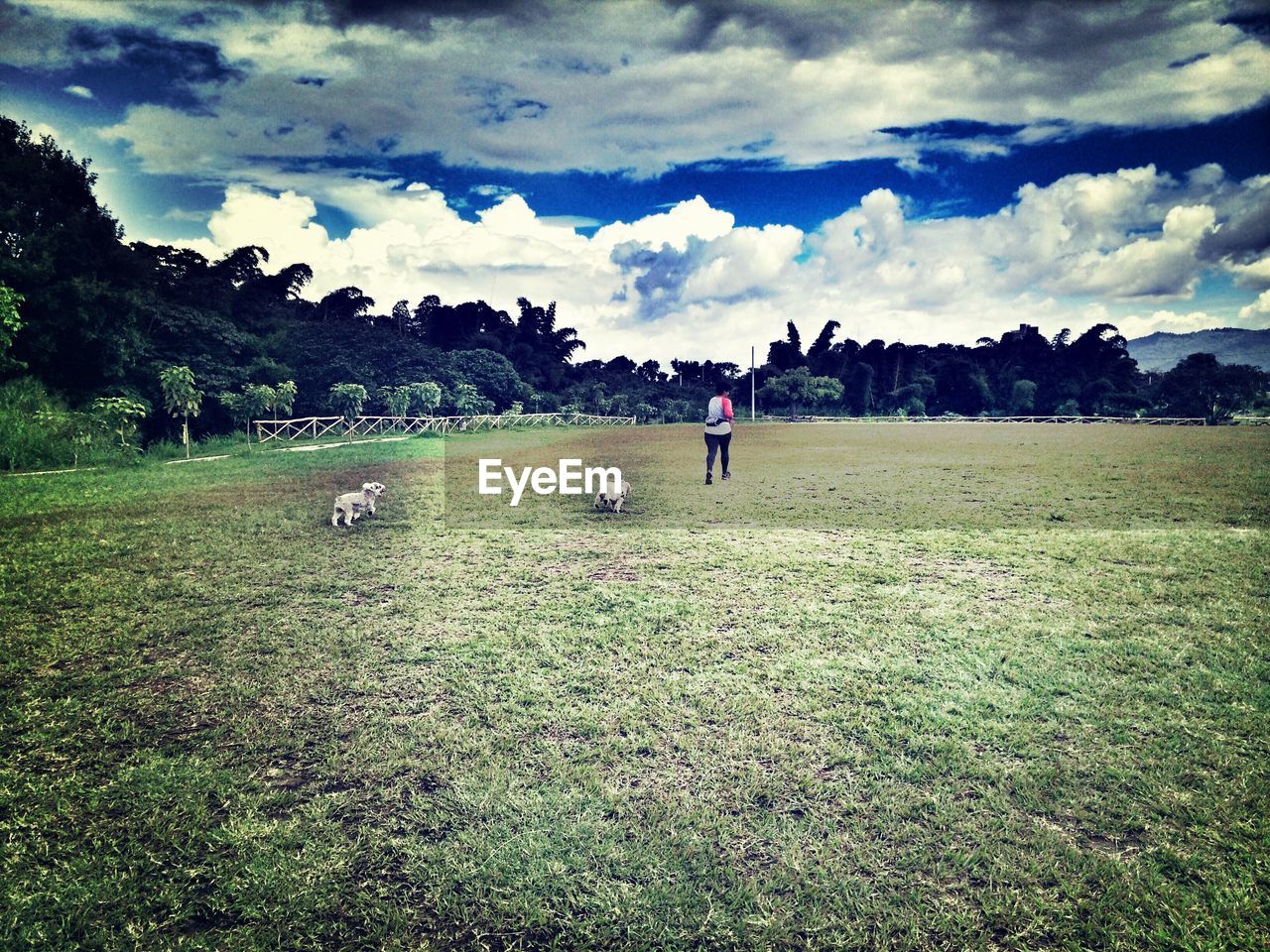 Full length rear view of woman walking on grassy field by dogs against cloudy sky