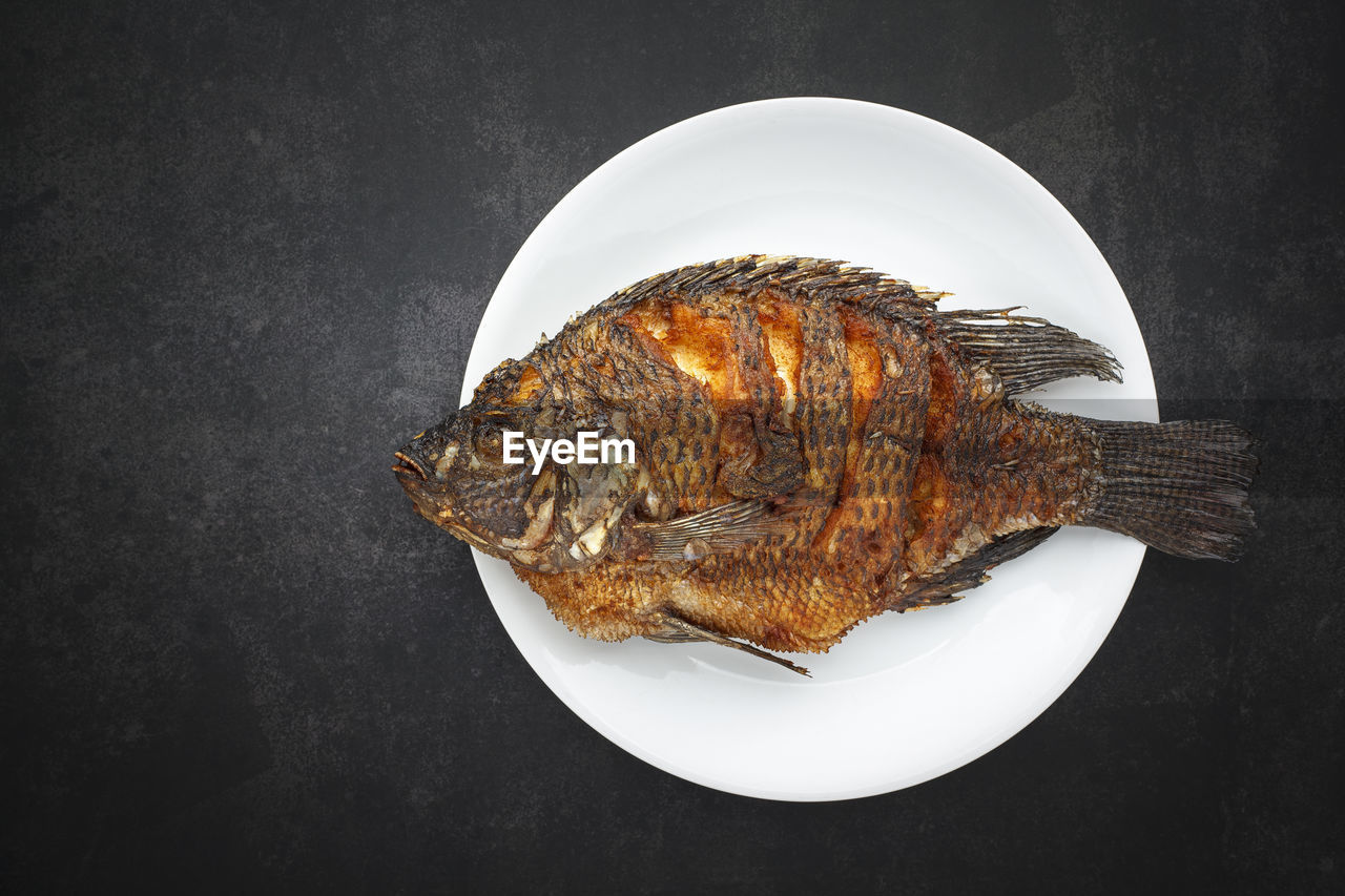 Tasty large fried nile tilapia fish in simple white plate on dark tone texture background, top view