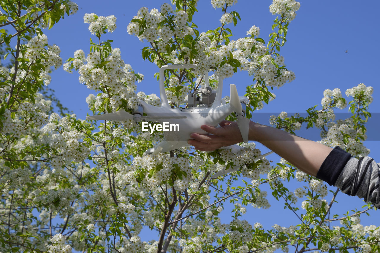 Cropped hand of woman holding drone against flowering tree