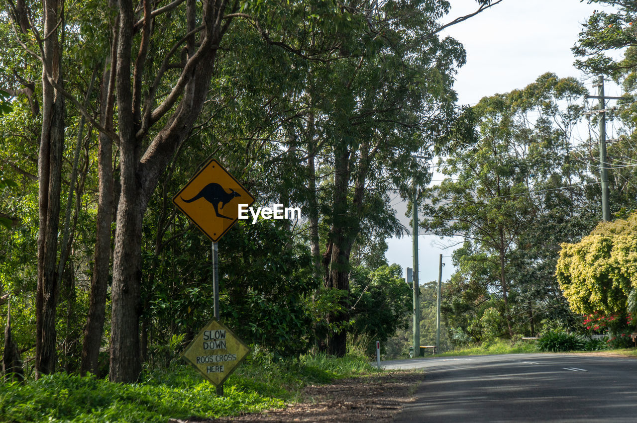 ROAD SIGN BY TREES AND PLANTS ON STREET