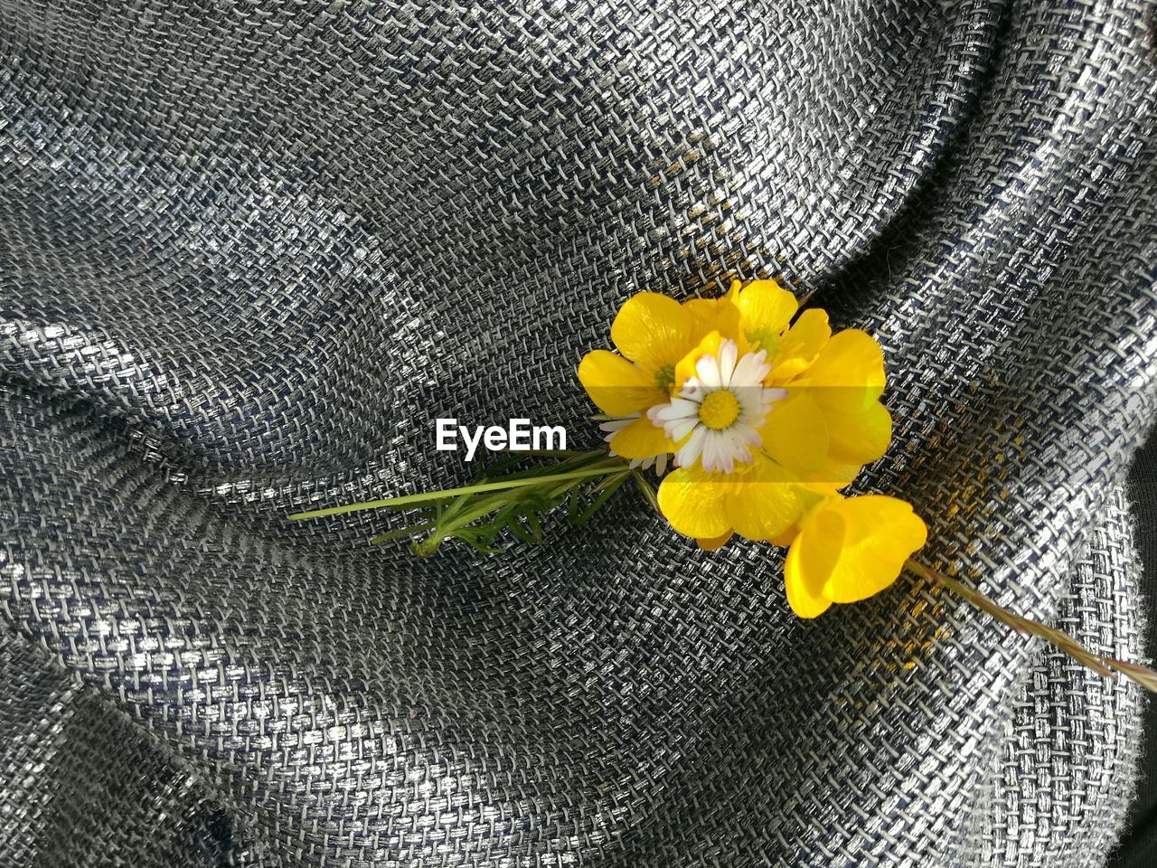 High angle view of yellow flowers on fabric