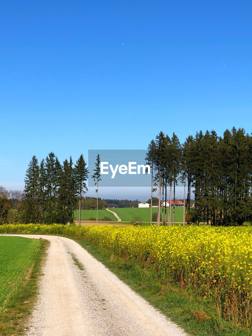 Road amidst field against clear blue sky