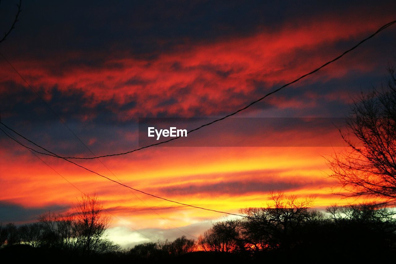 LOW ANGLE VIEW OF SILHOUETTE TREES AGAINST DRAMATIC SKY DURING SUNSET