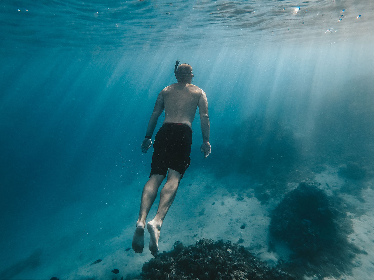 Rear view full length of shirtless man swimming in sea