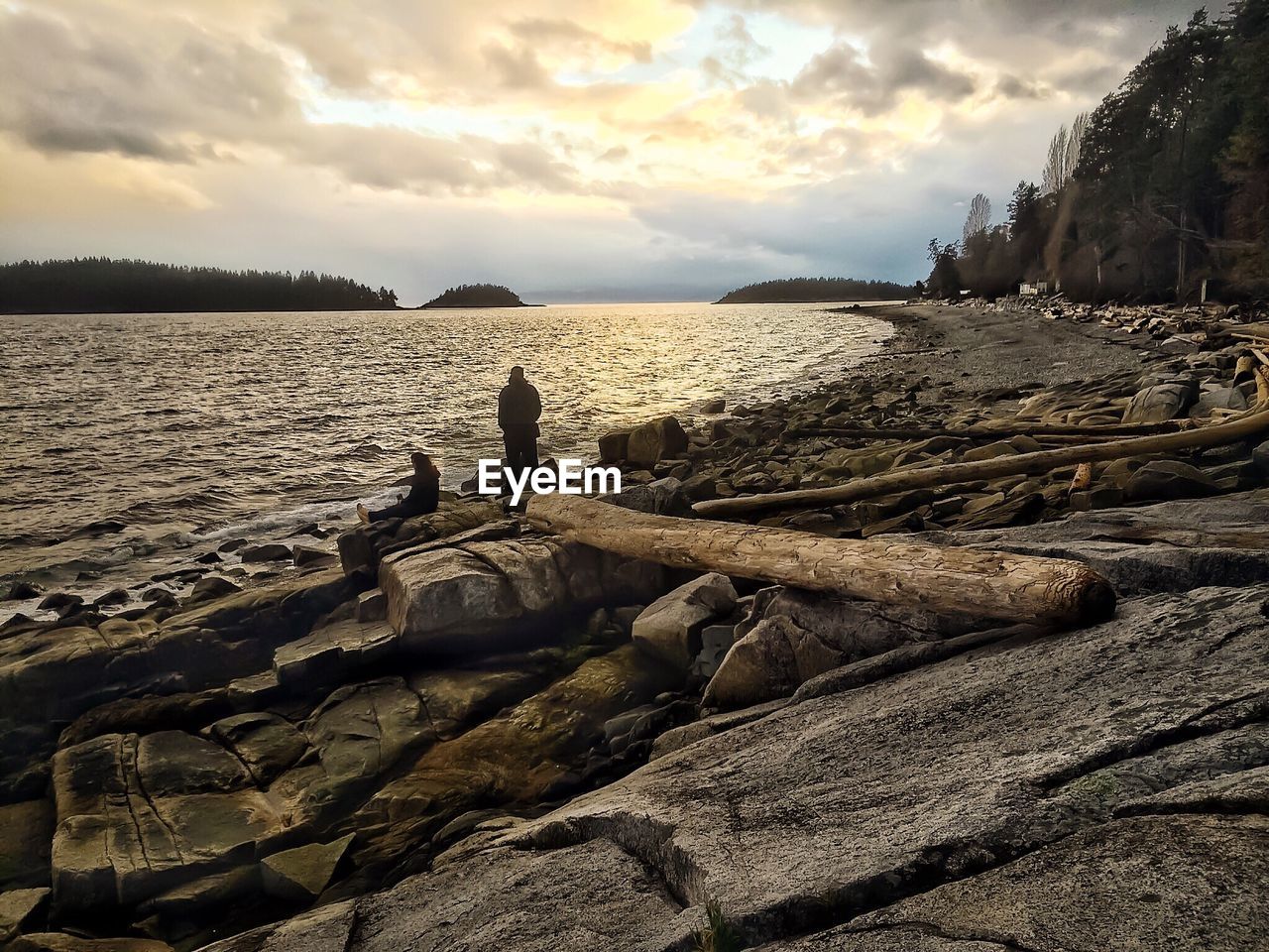 Rocks on beach against cloudy sky