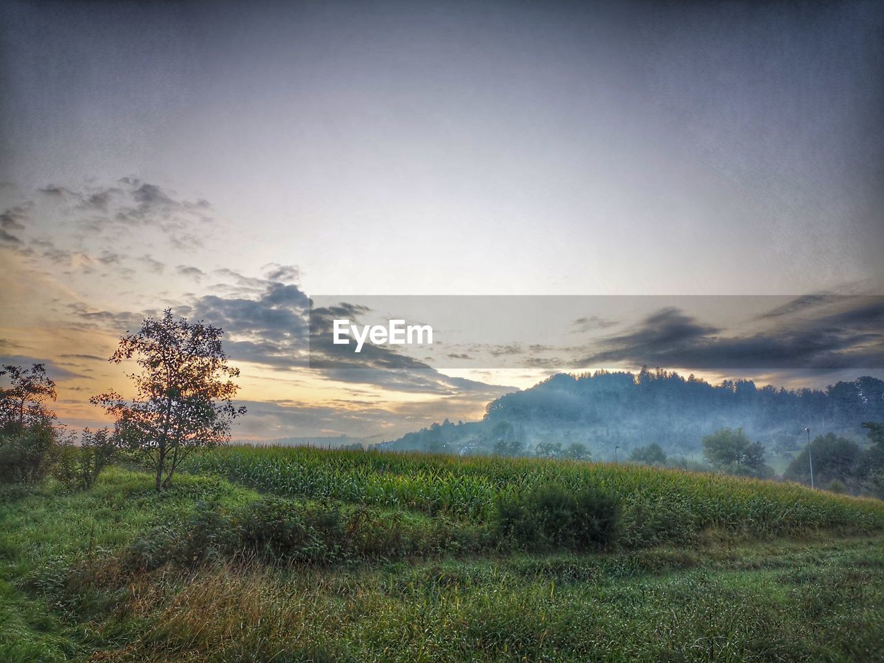 SCENIC VIEW OF LAND AGAINST SKY DURING SUNSET