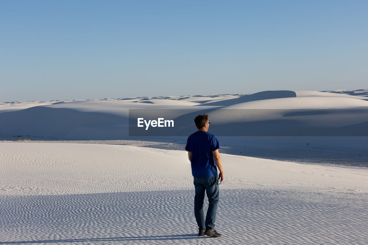 Lone adult male looking off into the dunes at white sands national park