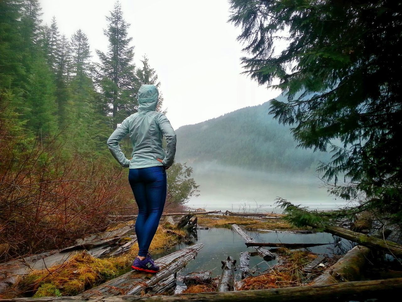 Rear view of woman standing on driftwood by river in forest