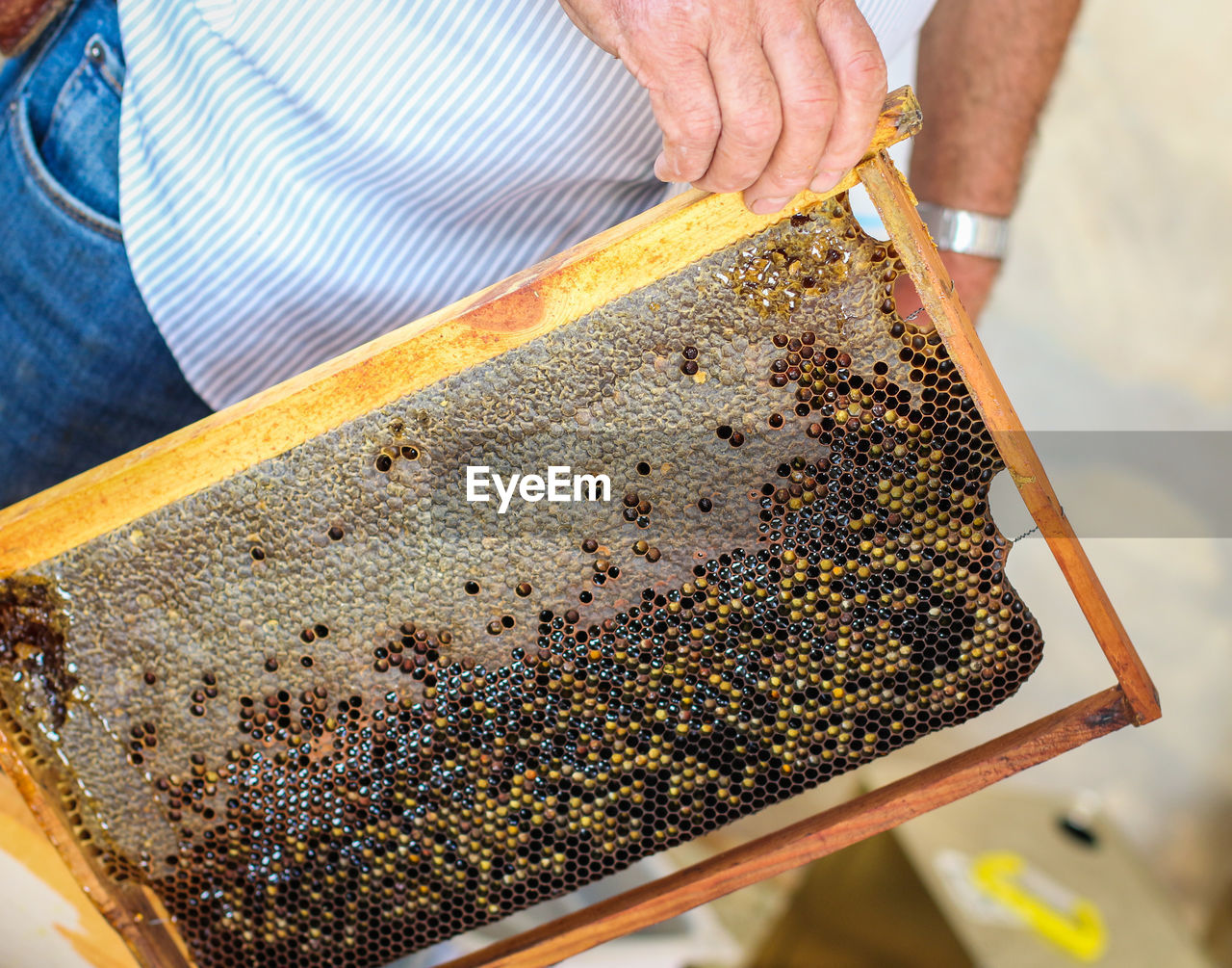 Midsection of man holding honeycomb outdoors