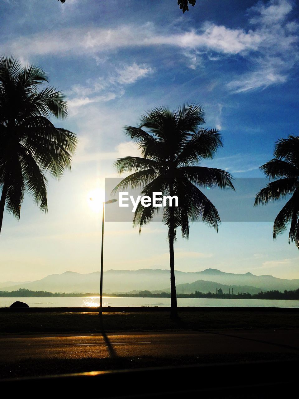 Silhouette palm trees against sky during sunset