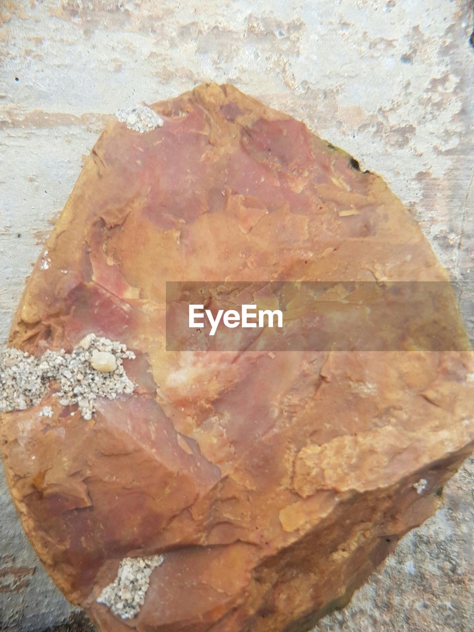 rock, no people, close-up, geology, mineral, nature, high angle view, wood, textured, outdoors, day, brown, rough, fossil
