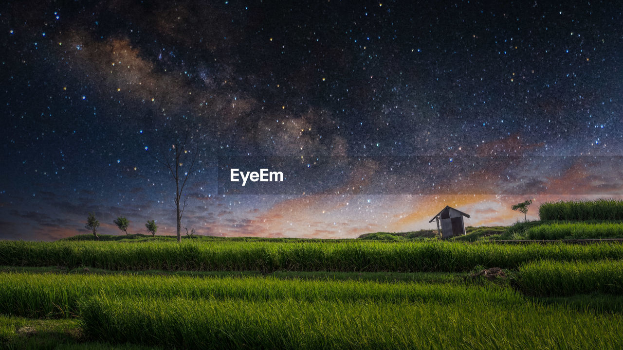 Scenic view of field against sky at night