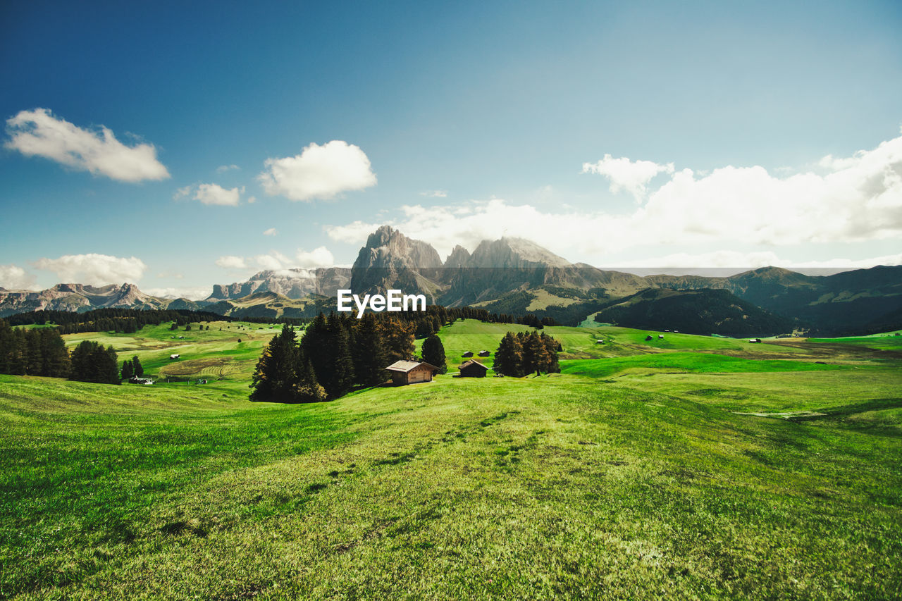 SCENIC VIEW OF FIELD AND MOUNTAINS AGAINST SKY