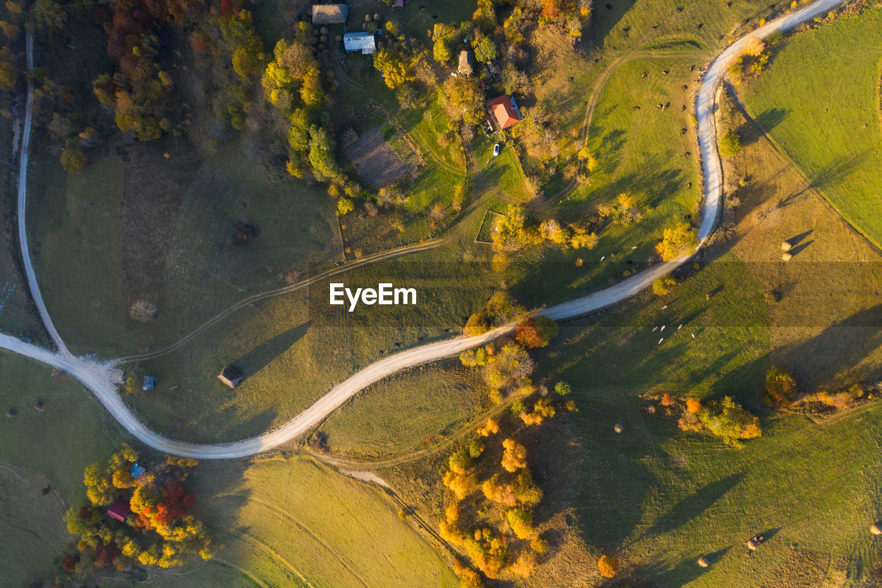 Aerial view of road amidst trees during autumn