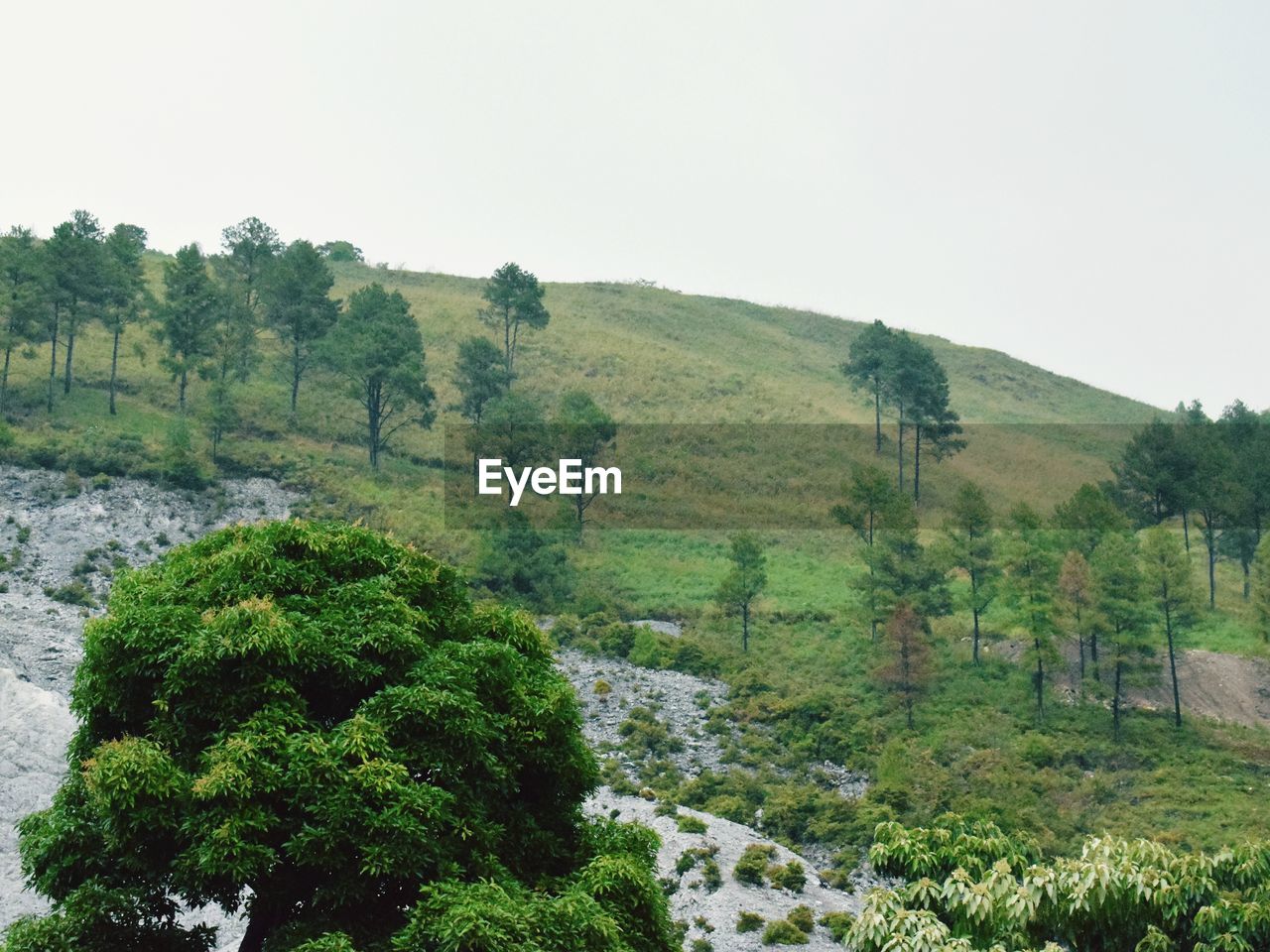 SCENIC VIEW OF LAND AGAINST SKY