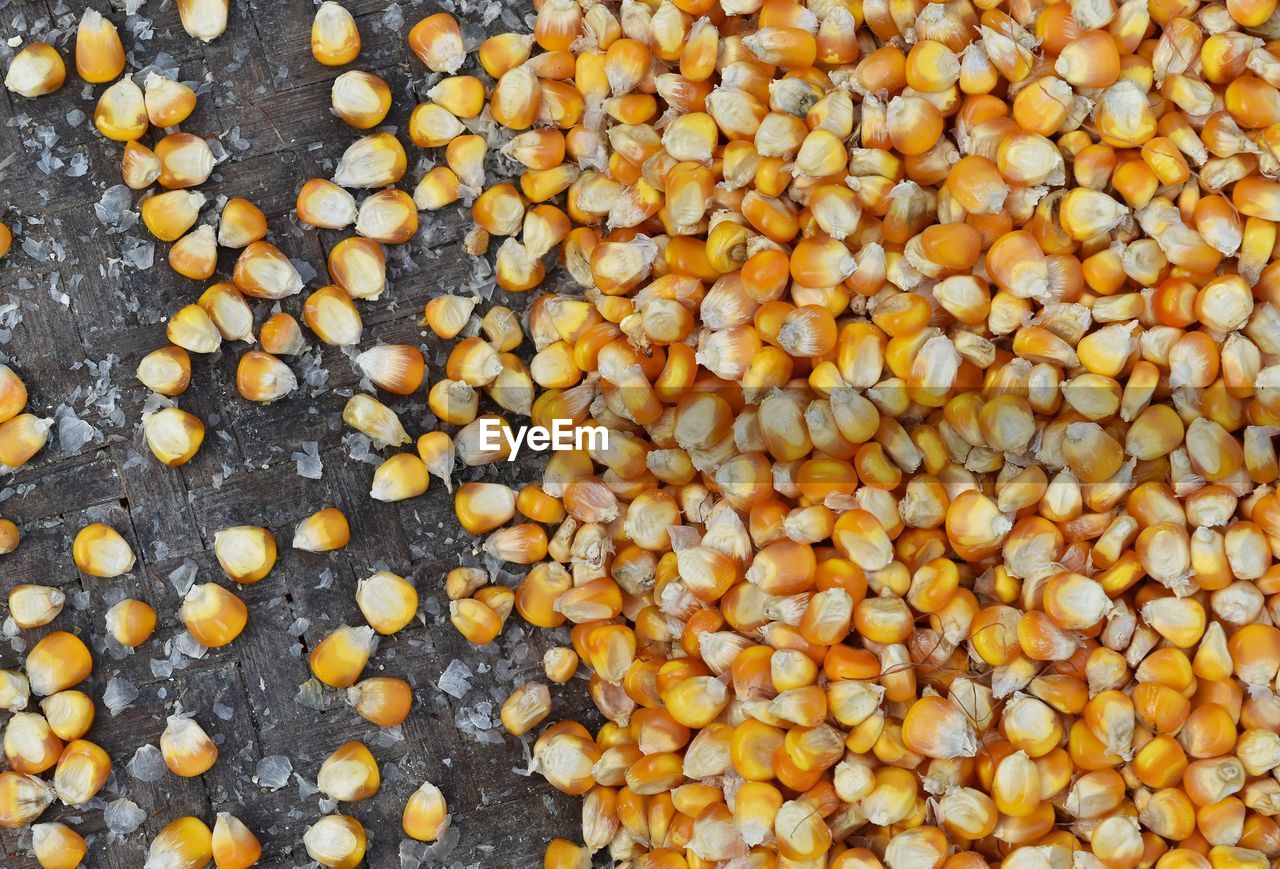 High angle view of corn kernels