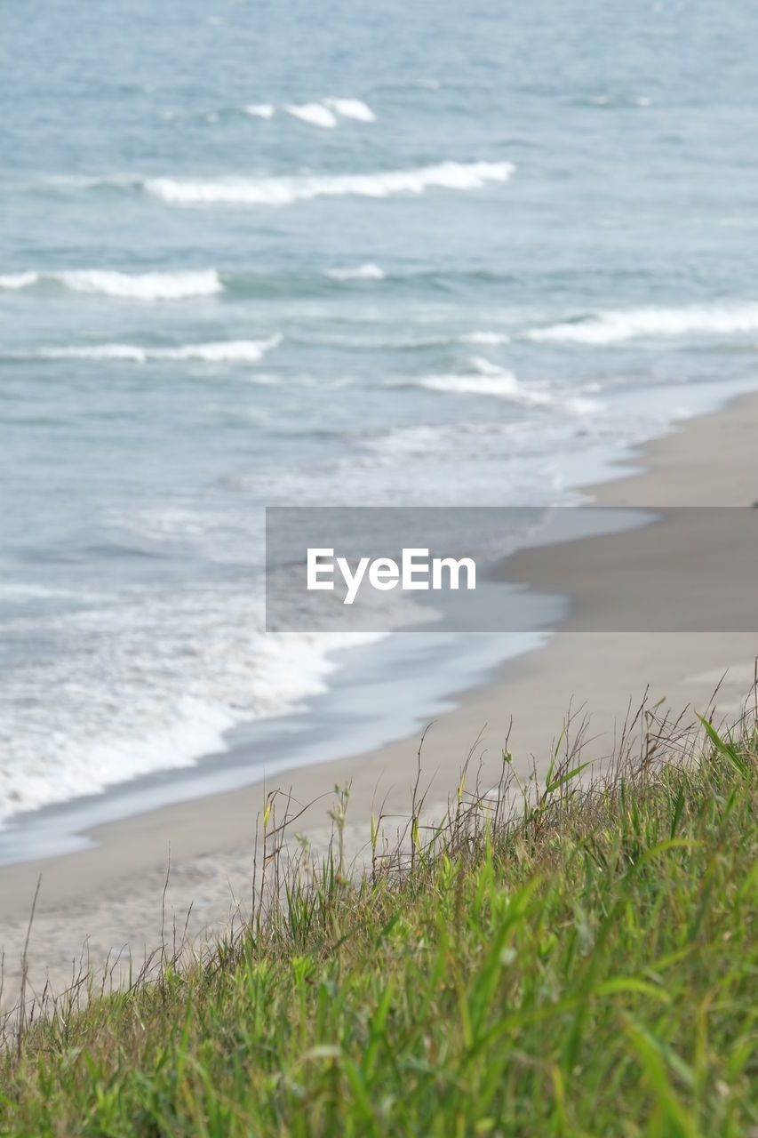 SCENIC VIEW OF BEACH