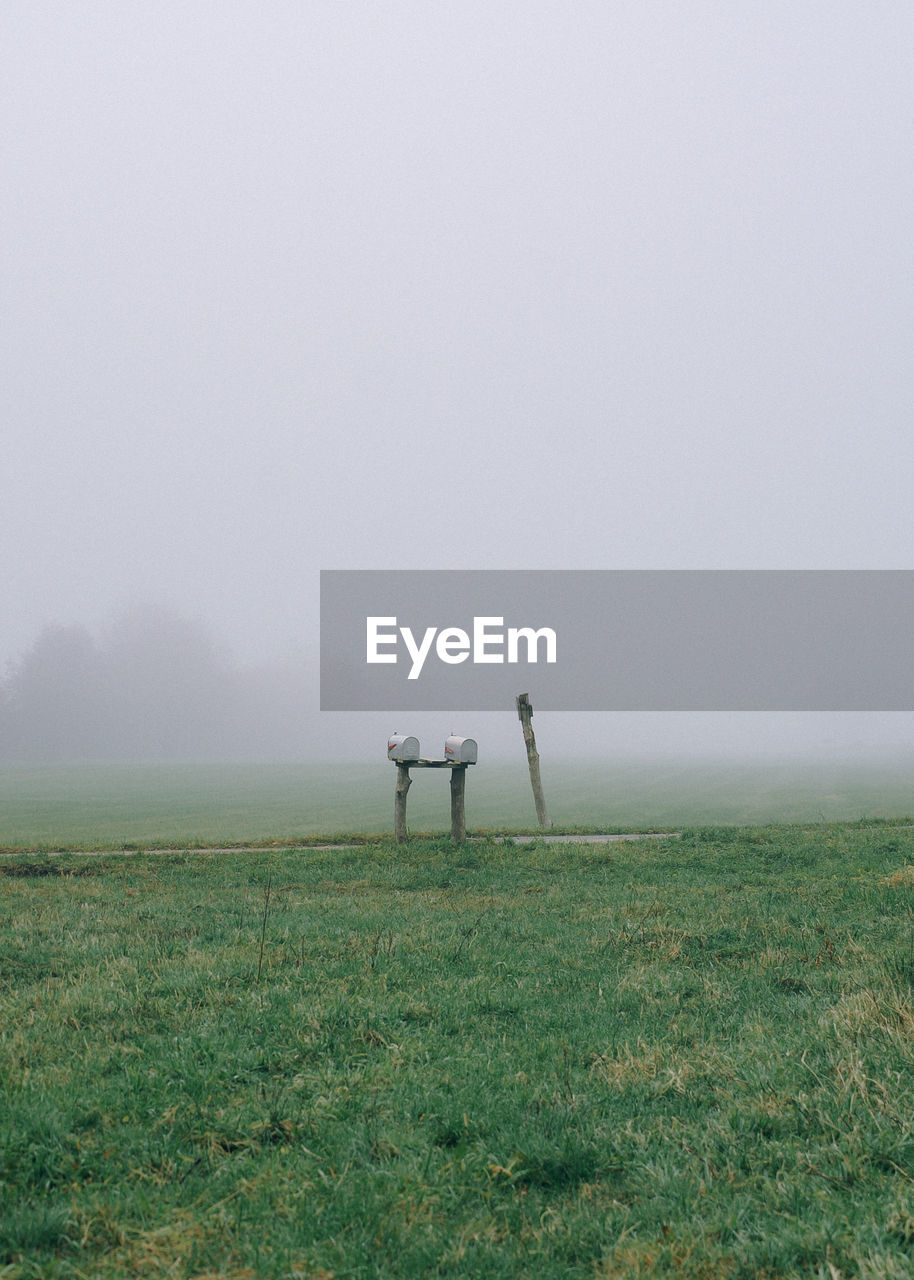 Mailboxes on grassy field during foggy weather