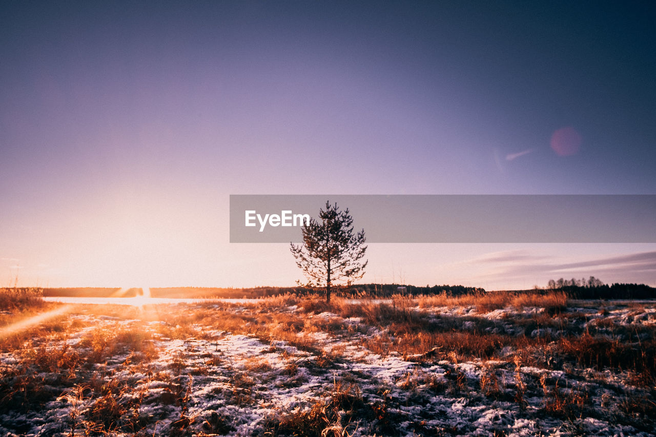 Scenic view of field against sky during sunset