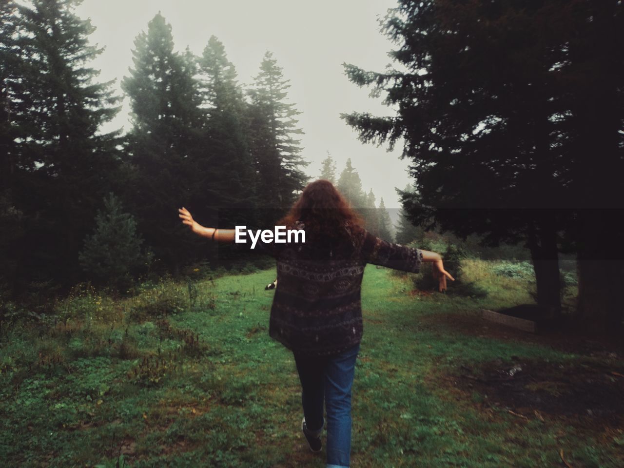 REAR VIEW OF WOMAN WITH ARMS OUTSTRETCHED STANDING IN FOREST