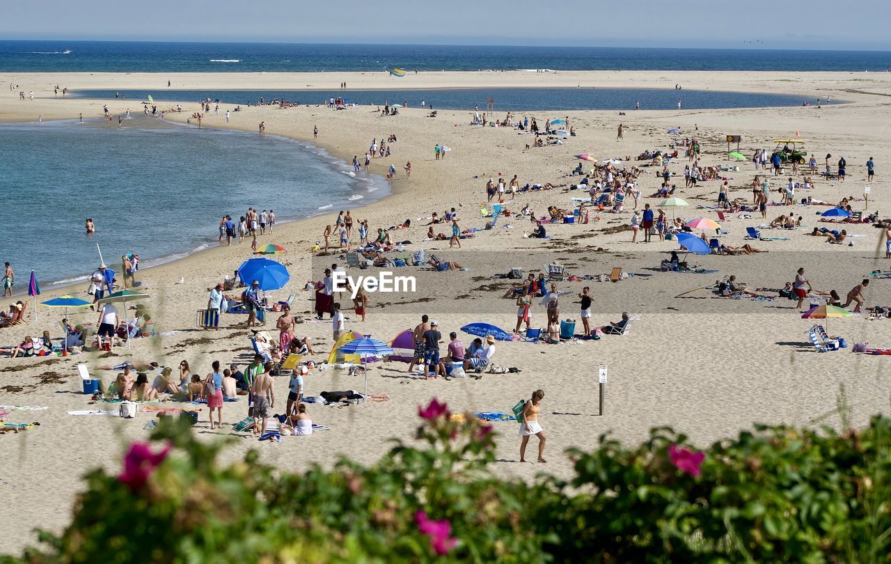 Crowded summer beach near the shark filled waters of chatham, cape cod