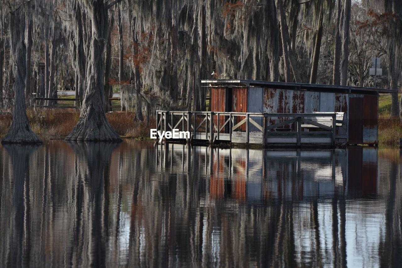 REFLECTION OF TREES ON LAKE