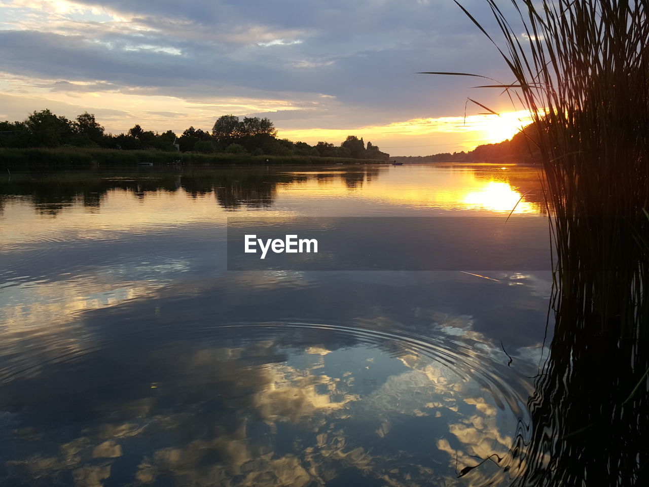 REFLECTION OF SILHOUETTE TREES IN LAKE AGAINST SKY DURING SUNSET