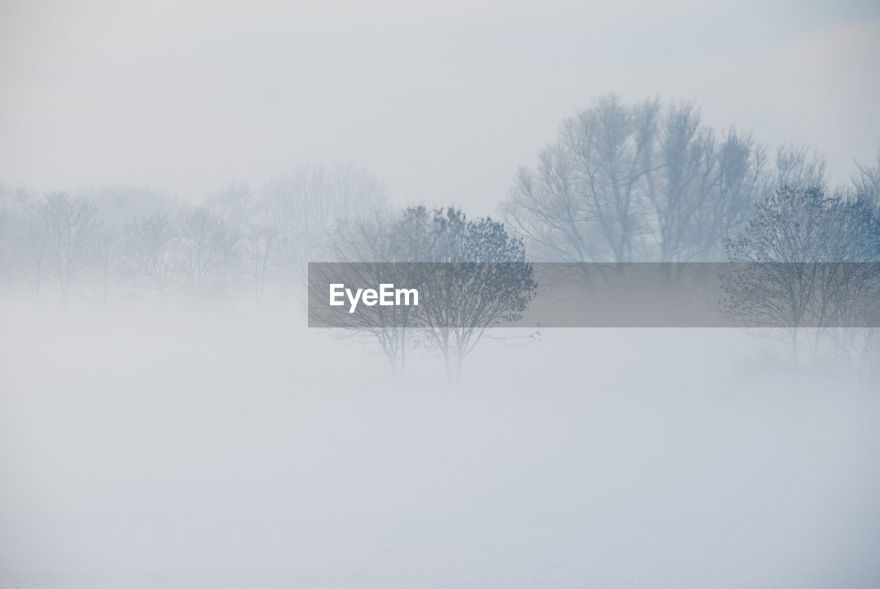 Scenic view of landscape against clear sky